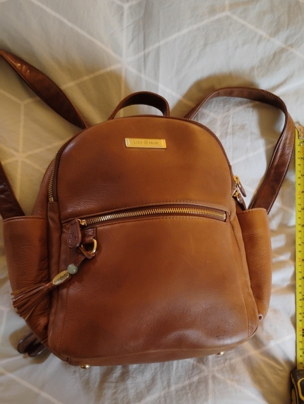 Lily Jade Brown Leather Women’s Convertible Backpack